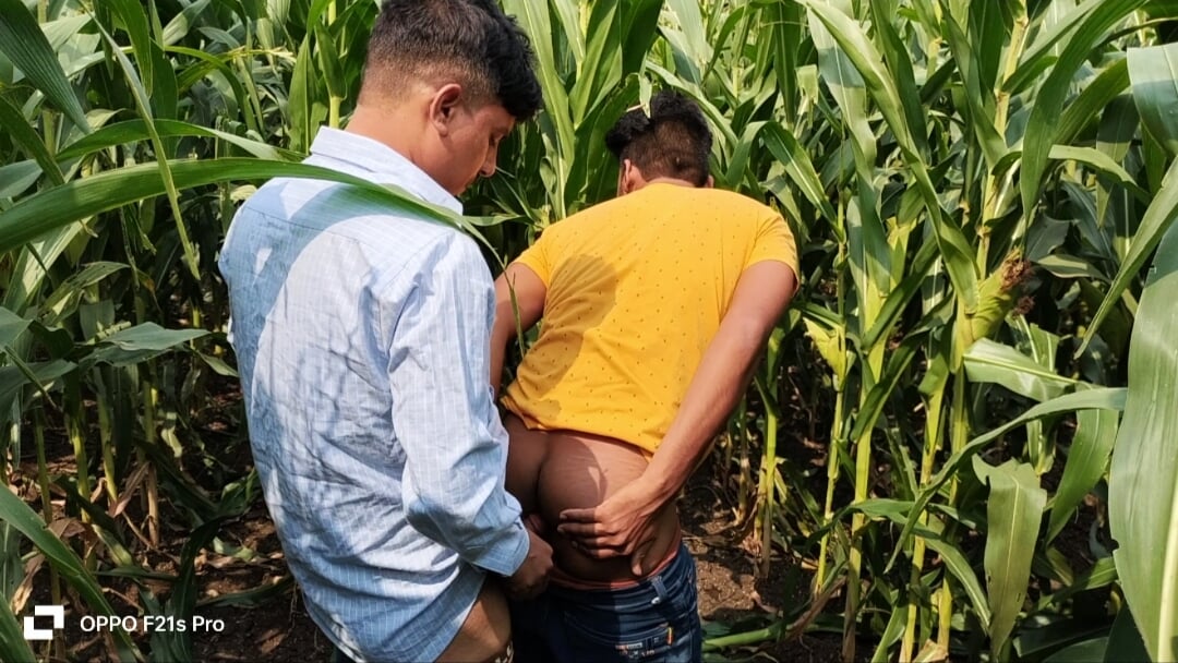Indian Gay  – Today Collage Boy & College Teacher I saw a corn field  side of the forest, so I enjoyed going to the corn field.